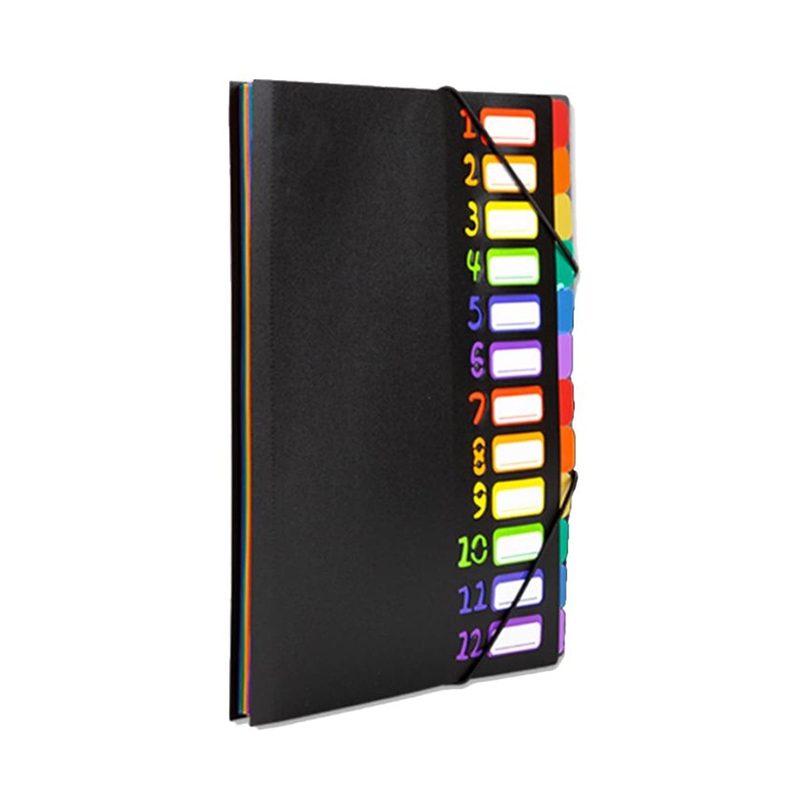 Organizador de archivadores 12 en la Bolsa de Almacenamiento de la Carpeta de clasificación de Varios páginas A4 Clasificador de Archivos A4 Carpeta archivadora para Oficina(BK)