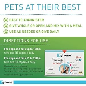Vetoquinol-Zylkene-Calming-Support-Supplement-for-Small-Dogs-and-Cats-Helps-Promote-Relaxation-and-Reduce-External-Stress-Factors-Daily-Behavioral-Support-and-Anxiety-Relief-for-Dogs-and-Cats-75mg - Cucciolini Doodles   Vetoquinol-Zylkene-Calming-Support-Supplement-for-Small-Dogs-and-Cats-Helps-Promote-Relaxation-and-Reduce-External-Stress-Factors-Daily-Behavioral-Support-and-Anxiety-Relief-for-Dogs-and-Cats-75mg