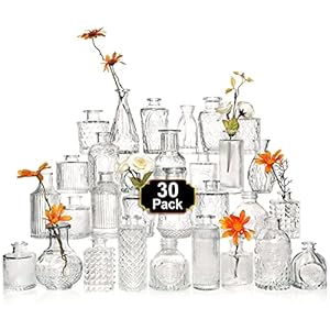 Arme Glass Bud Vase Set of 30 Pcs，Small Glass Vases for Flowers，Clear Bud Vases in Bulk，Vintage Vases for Centerpieces，Small Glass Bud Vase for Rustic Wedding Decorations，Home Table Flower Decor