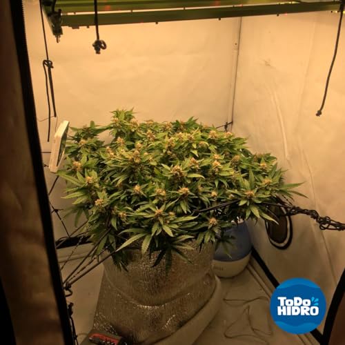 Kit Hidropônico N3 Econômico, Com Nutrientes (110, Volts)