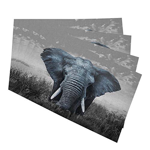 Hosnye African Elephant Placemats For Kitchen Dining Table Set Of 4 Nature Wildlife African Elephant Linen Place Mats #TOP20