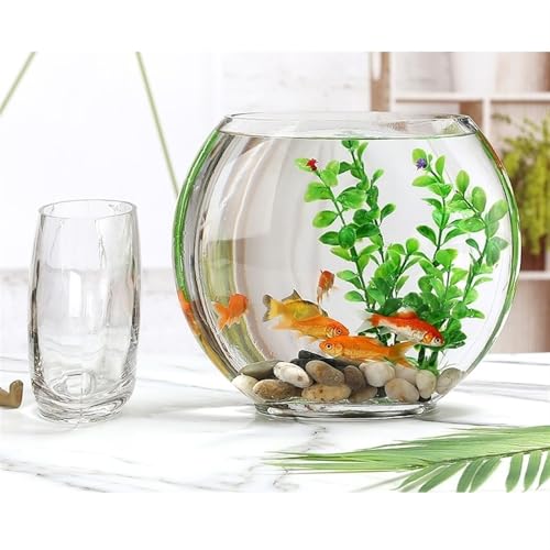 Acuario de vidrio ovalado transparente para peces pequeños y decoración 7