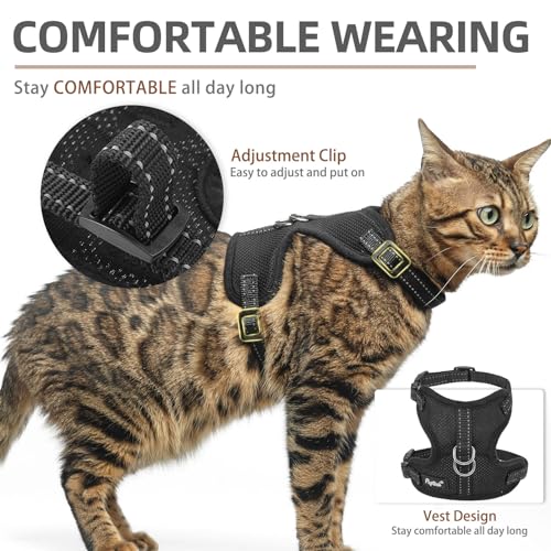 PUPTECK-Cat-Harness-and-Leash-Set-Escape-Proof-Reflective-Adjustable-Soft-Mesh-Kitten-Vest-Harness-for-Walking-Travel-Black-S