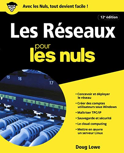 Les réseaux pour les Nuls, grand format, 12e