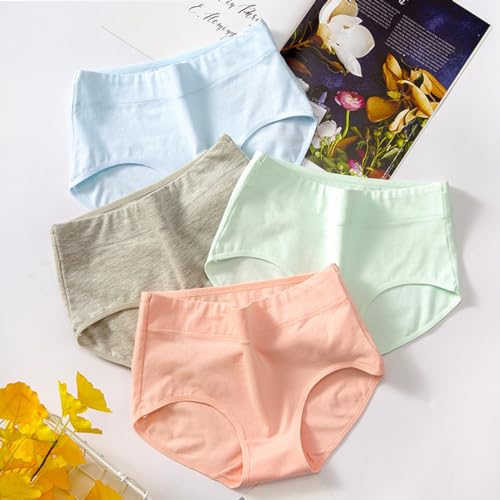 Lohhbve Girly Midsize Culotte Classique Couleur Unie Culotte 8-16 Ans Indispensable Culotte en Coton sous - vêtements Confortables Lot de 6 – vue 6