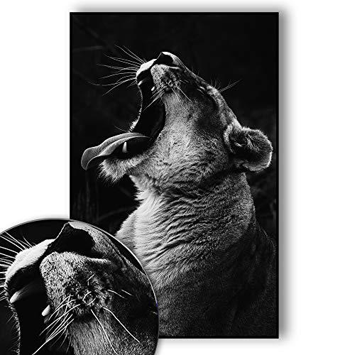 Golden Posters Vari poster - Murale - Decorazione