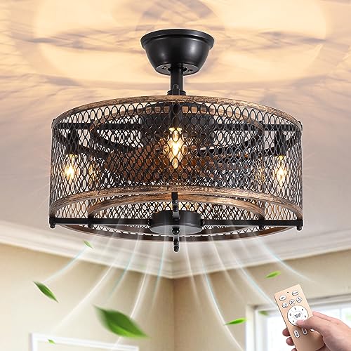 Caged Ceiling Fans With Lights Remote Control, 20" Enclosed Ceiling Fan with 6 Speeds Wind, Reversible Motor, Rustic Bladeless Vintage Industrial Farmhouse Ceiling Fan for Bedroom Dining Room, Black