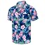 Blue Pink171