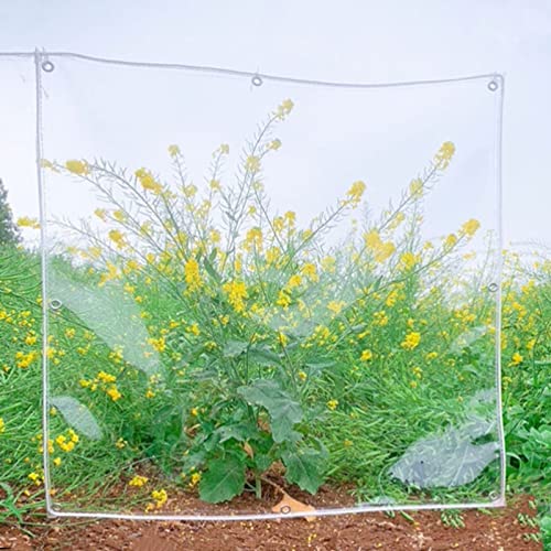 Bâches transparentes résistantes à l'eau avec technologie ripstop contre la pluie - 7