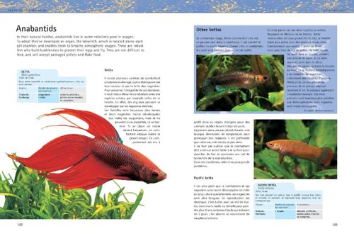Aquariums: The Complete Guide to Freshwater and Saltwater Aquariums - Thumbnail 5