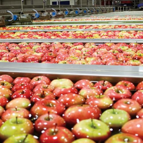 #205 Schools as Sorting Machines