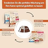 Wellness CORE Tender Cuts 6 x 85g, Hühnchen Selection Mix – Nassfutter für Katze, zarte Stücke in Sauce, getreidefrei, natürlich, hypoallergen, proteinreich, hoher Fleischanteil