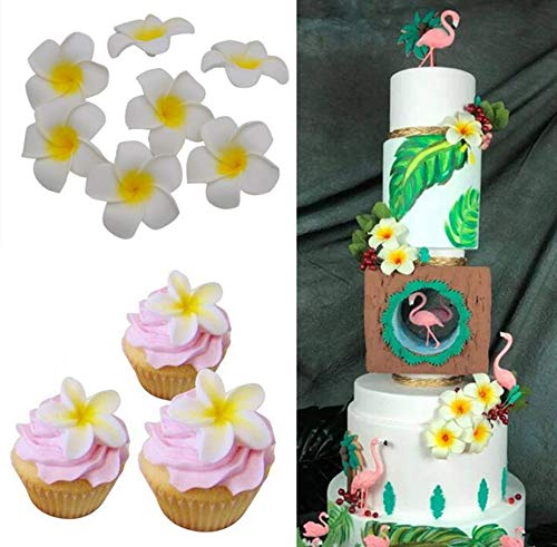 Silicone Mold Plumeria Rubra Mold 6 Cavity Soap Mold Egg Flowers Silicone Molds For Cake Soap Chocolate Candy Cupcake Candle,Red,2 Pack #TOP5