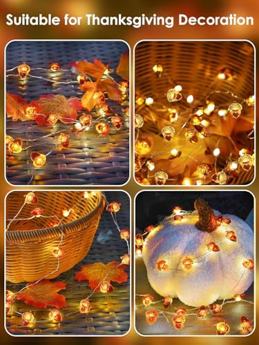 Image of Acorn Fall Lights Battery Operated LED String Lights with Remote & Timer | 8 Modes, IP44 Waterproof, 10FT 30 LED Fall Fairy Lights Twinkle for Harvest Thanksgiving Halloween Party Indoor Outdoor Decor
