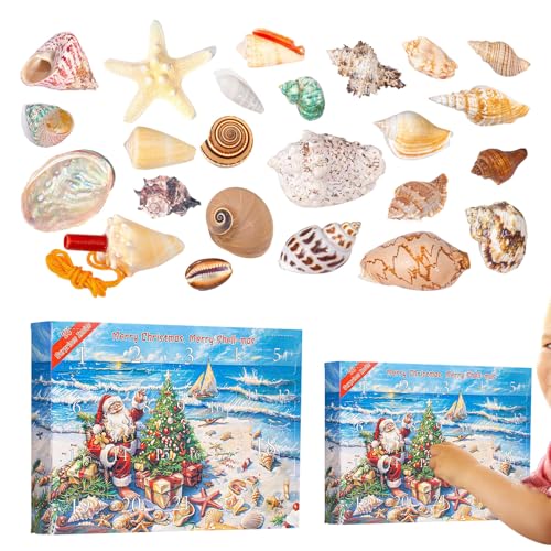 Calendrier de l'Avent coquillages éducatif pour rompre la routine de Noël des adultes