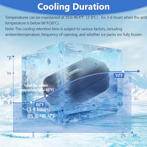 Image of Insulin Travel Organizer - TSA Approved Diabetic Medicine Storage Bag with Temperature Display and 2 Cooling Gel Packs (Black)