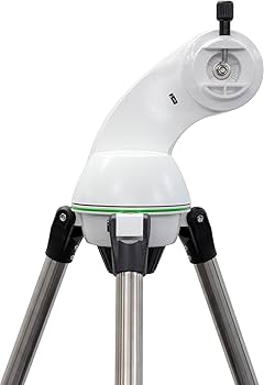 虚空の力線3枚　絶滅の契機2枚　セット Zenoah G3401 EZ Chainsaw | ゼノア