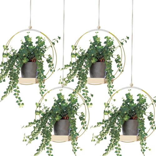 Geelin 4 Pcs Hanging Plant Holder with Wood Base Window Planter Boho, Gold