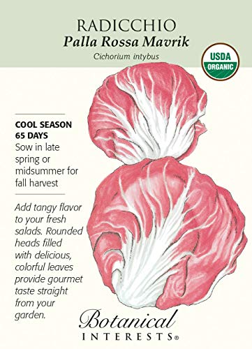 Palla Rossa Mavrik Radicchio Seeds - .20 Grams
