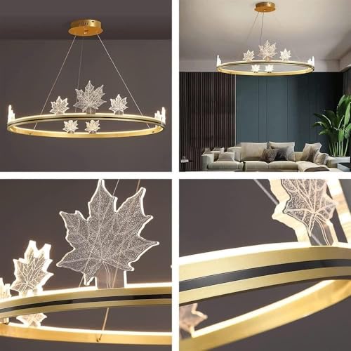 Lustre salon moderne à LED variable en acrylique avec télécommande - 5