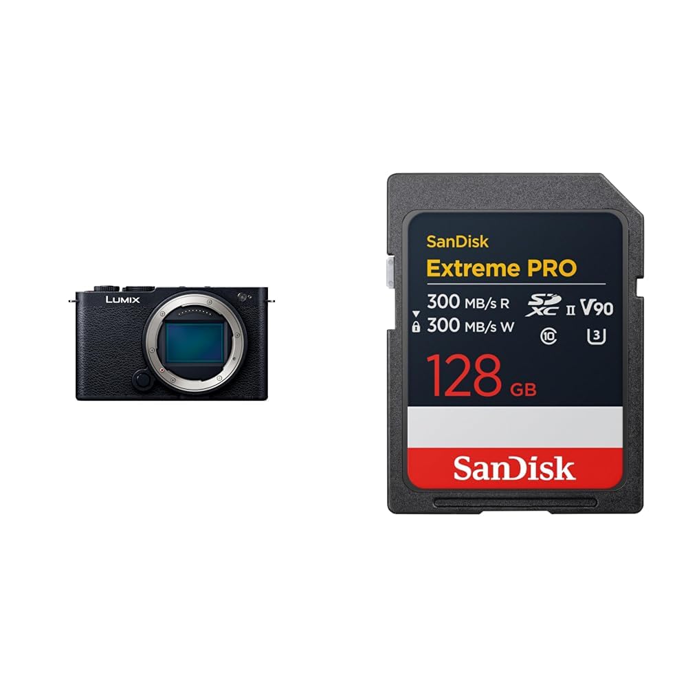 Amazon | パナソニック(Panasonic) フルサイズ ミラーレス一眼カメラ