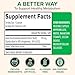 Zenwise Health Green Tea Extract Capsules for Men & Women - EGCG Supplement with Green Coffee Bean Extract Boosts Energy & Memory - Immune Support for Skin, Brain & Hearth Health - Vegan - 120 Count