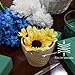 FLOFARE Pack of 3 Floral Foam Blocks Each (5.5