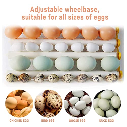 Inkubator für Eier Ente für 30 Eier Vollautomatische Digitale Brutmaschine für Geflügel mit automatisch drehender… – Bild 7
