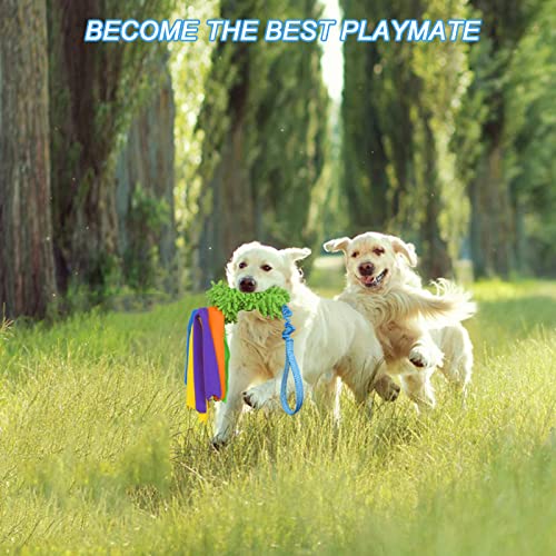 Tekcam Hundespielzeug Mop Bungee Tug Spielzeug mit Squeaky, Zerrspielzeug Hund mit Bungee Griff Chaser Spiele Pull Tugger Spielzeug Kauspielzeug füR Kleine Mittlere GroßE Hunde Training Agility