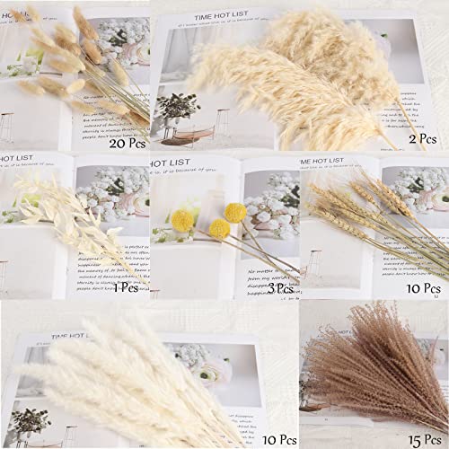 61Pcs Natural Dried Pampas Grass, 17" Tall Fluffy Pompous Grass Dried Flowers Bouquet Decor With Reed Grass/Wheats/Lagurus Ovatus/ For Boho Farmhouse Rustic Vase #TOP1
