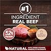 Purina ONE Natural High Protein Dry Dog Food Dry True Instinct with Real Beef and Salmon With Bone Broth and Added Vitamins, Minerals and Nutrients - 15 lb. Bag #1