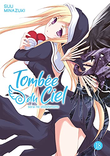 Tombée du Ciel — Tome 18