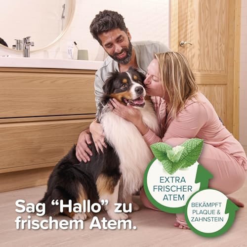 Beaphar Zahnpasta Pfefferminz & Petersilie, 100g