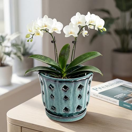 Pot de fleurs avec drainage efficace pour plante d'intérieur compacte - 6