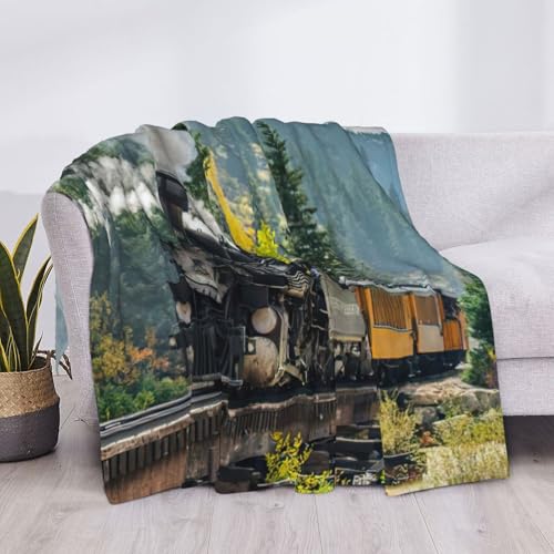 Couverture de lit train à vapeur EdWal en microfibre confortable - 6