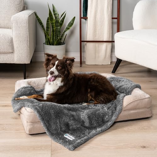 Image of PetAmi Dog Blanket for Small Medium Dogs Grey, Fluffy Soft Puppy Blanket, Sherpa Fleece Cat Blanket for Kitten Doggie, Calming Pet Blanket Throw for Couch Sofa Bed Washable, Medium 29x40