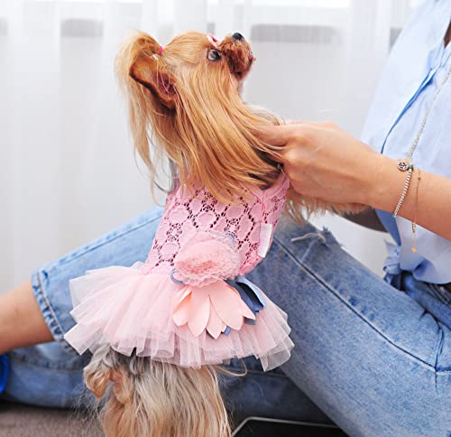 Msnfoasm 2Pack Dog Sweetie Flower Mesh Dress,Dog Lace Tutu Skirt Wedding Dress For Small Girl Dogs Cats（Pink&Green Xl） #TOP7