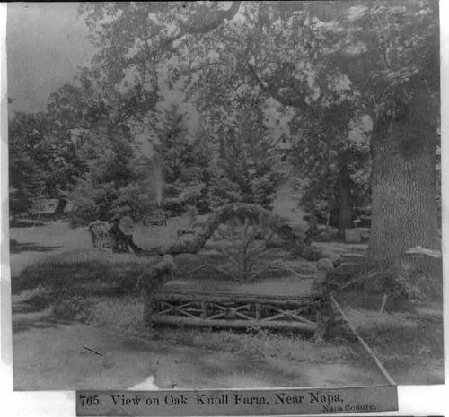 HistoricalFindings Photo: View on Oak Knoll Farm,Near Napa,Napa County,California,CA,1866,Wood Bench