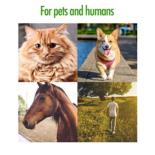 Zenpet Tick Tornado - Tick Remover For Dogs & Cats & People - Value Pack - Easy And Fast Tick Removal Tool (1 Pack) #TOP3