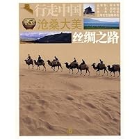 vicissitudes of great beauty: the Silk Road 7806859128 Book Cover