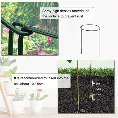 IPSXP Plant Support Stake, 8-Pack Half Round Metal Garden Plant Supports, Green Garden Plant Support Ring, Garden Border Supports, Plant Support Ring Cage for Tomato, Roses, Hydrangea, Flowers Vine - Thumbnail 5