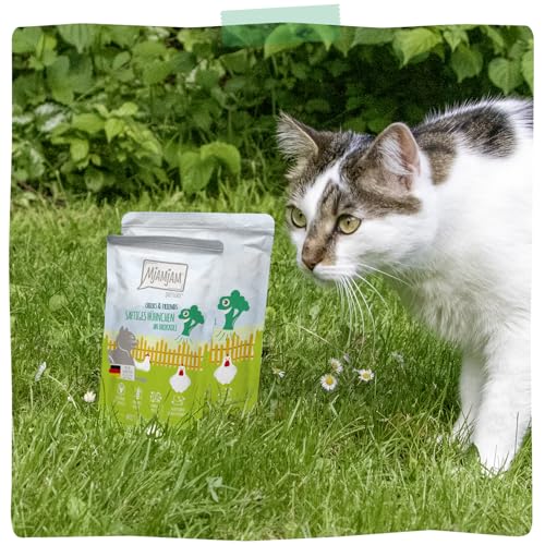 MjAMjAM - Premium Nassfutter für Katzen - saftiges Hühnchen an Brokkoli, 6er Pack (6 x 800 g), getreidefrei mit extra viel Fleisch