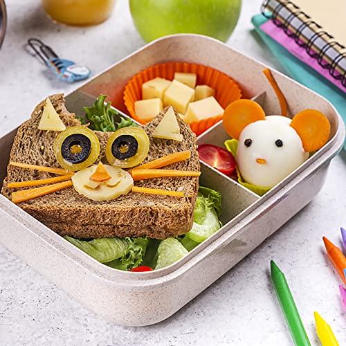 DGYJJZ 50Pcs Silicone Lunch Box Dividers Bento Box Accessories Silicone Cupcake Liners, Lunch Box Accessories with 10pcs Food Picks