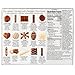 Luxury Assortment Of Europeen Christmas Chocolate Cookie- ( Christmas cookie Assortment ) - Kirkland Signature European Cookies With Belgian Chocolate, 49.4 Ounces- Packaged With Maryse's Place Holiday Bag
