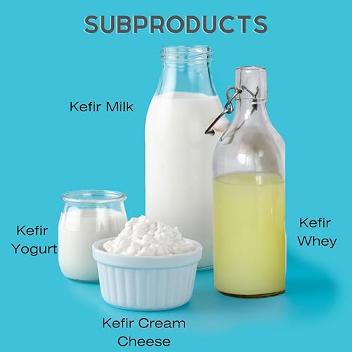 Miniatura 5 de Granos de kéfir, Cultivo iniciador de kéfir vivo, Leche de kéfir casera, Bulgaros de Leche, Pajaritos de Leche