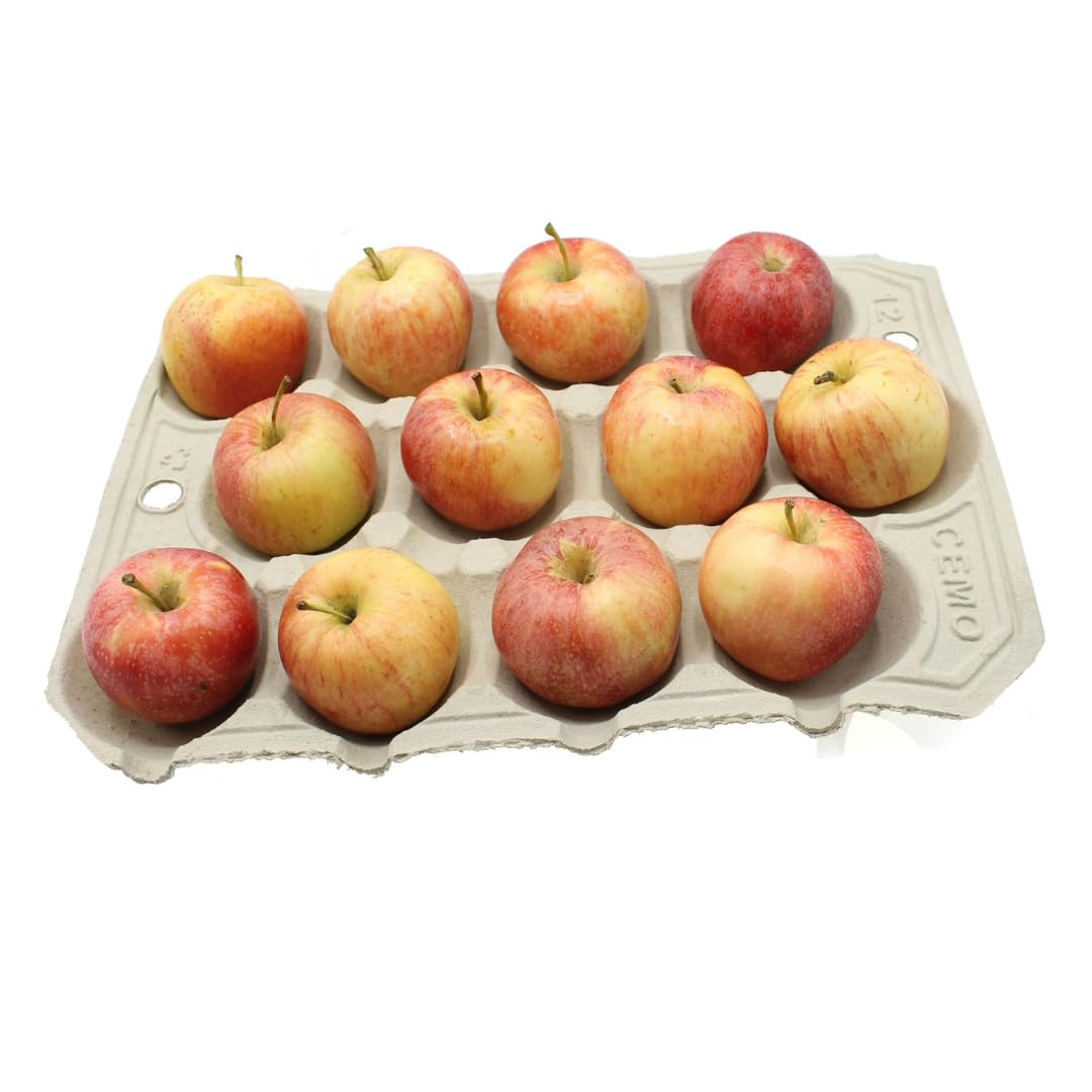 Gardening Naturally Apple Tray Crop Storage Apples Biodegradable (50)