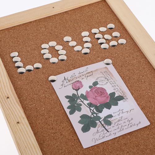 500 Stück Reißnägel Silber Edelstahl Rostfrei 3/8 Zoll Rund Metall für Poster, Büro, Pinnwand, Korktafeln und Wand