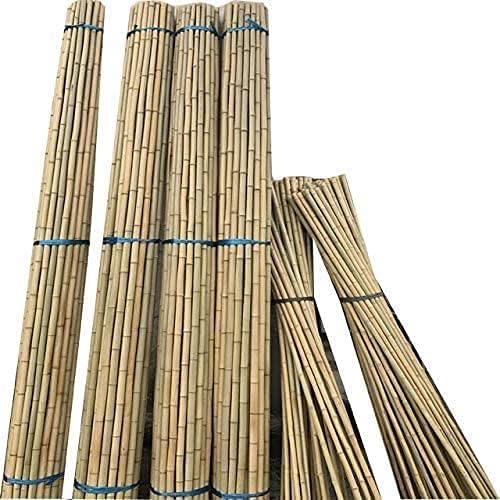 MUSAN Large 2FT 3FT 4FT 5FT 6FT Natural Garden Bamboo Canes - Heavy Duty Strong Plant Support Poles Thick Sticks - Indoor & Outdoor Plants Stakes Wooden Screening Wood Trellis (20, 4FT (10-18mm))