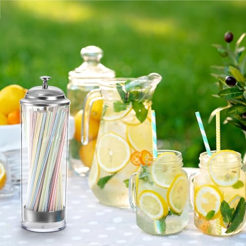 ZEAYEA 2 Pack Plastic Straw Dispensers, Clear Straw Holder with Stainless Steel Lid, Drinking Straw Organizer Container for Store, Restaurant, Bar, Home Kitchen, Countertop