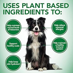 Vets-Best-Healthy-Coat-Shed-Itch-Relief-Dog-Supplements-Relieve-Dogs-Skin-Irritation-and-Shedding-Due-to-Seasonal-Allergies-or-Dermatitis-150-Chewable-Tablets-White-150-Count-Pack-of-1 - Cucciolini Doodles   Vets-Best-Healthy-Coat-Shed-Itch-Relief-Dog-Supplements-Relieve-Dogs-Skin-Irritation-and-Shedding-Due-to-Seasonal-Allergies-or-Dermatitis-150-Chewable-Tablets-White-150-Count-Pack-of-1